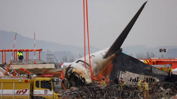 Перья и кровь нашли в двигателях разбившегося самолета Jeju Air в Южной Корее