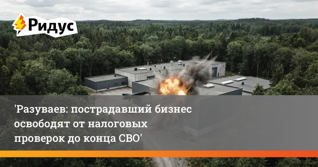 Разуваев: пострадавший бизнес освободят от налоговых проверок до конца СВО