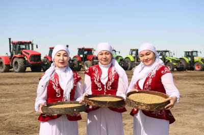 В Приаралье начался сев риса