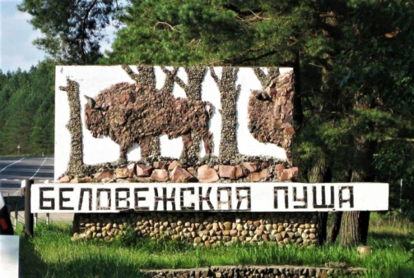 Ущерб в 20 миллионов долларов причинила Польша Беловежской пуще